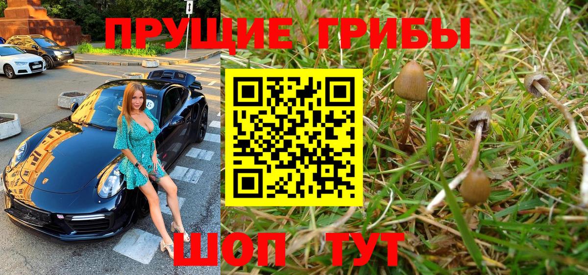 Галлюциногенные грибы ЛСД Моршанск